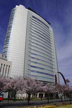 市役所正面