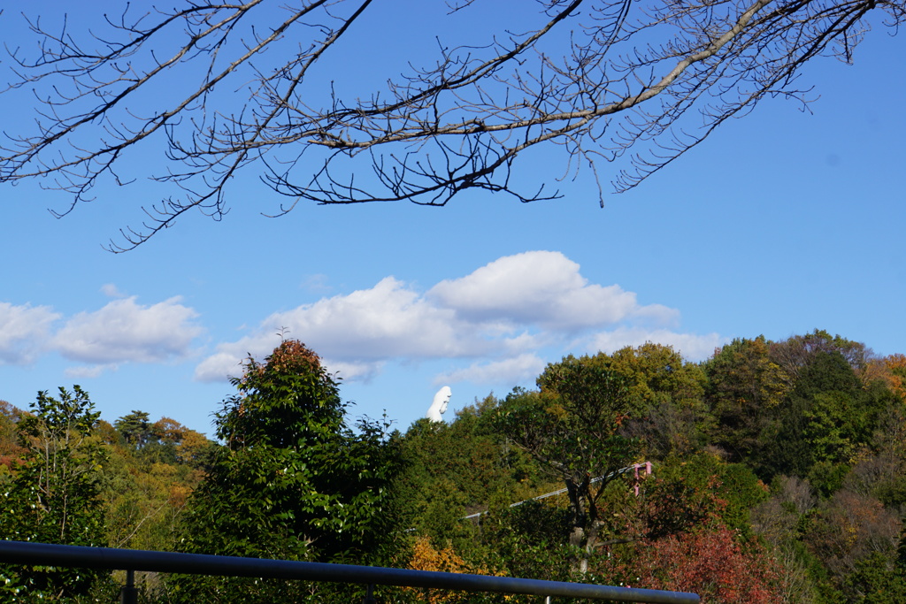 山の向こう観音様