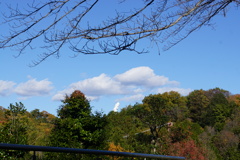 山の向こう観音様