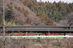 遠くにシェルパ君
