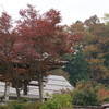 寺町の紅葉３