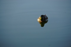 気持ちええで、