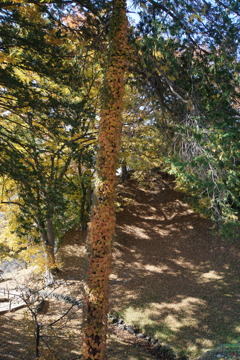 この服ちょっと派手かしら？