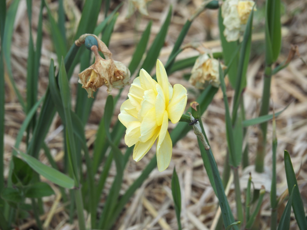 ちょと横向いて