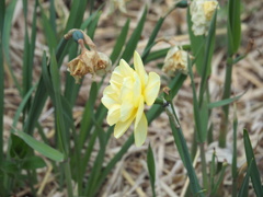 ちょと横向いて