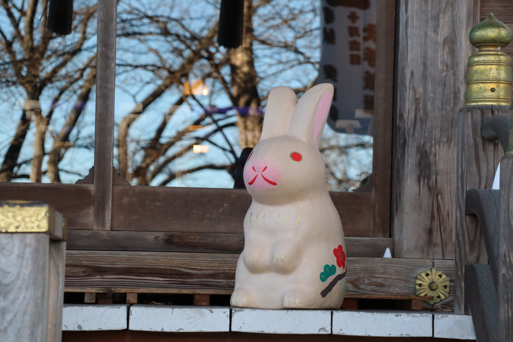 今年はうさぎ年