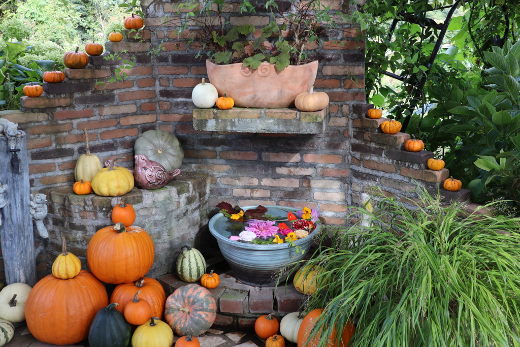 カボチャだらけ