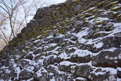 雪と苔の石垣