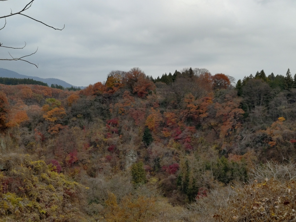 紅葉橋から紅葉橋から
