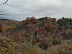 紅葉橋から紅葉橋から