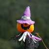 ハロウィン