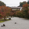 寺町のお庭