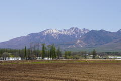 爽やかな高原の景色