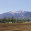 爽やかな高原の景色