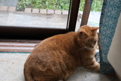 長男にいた君５歳