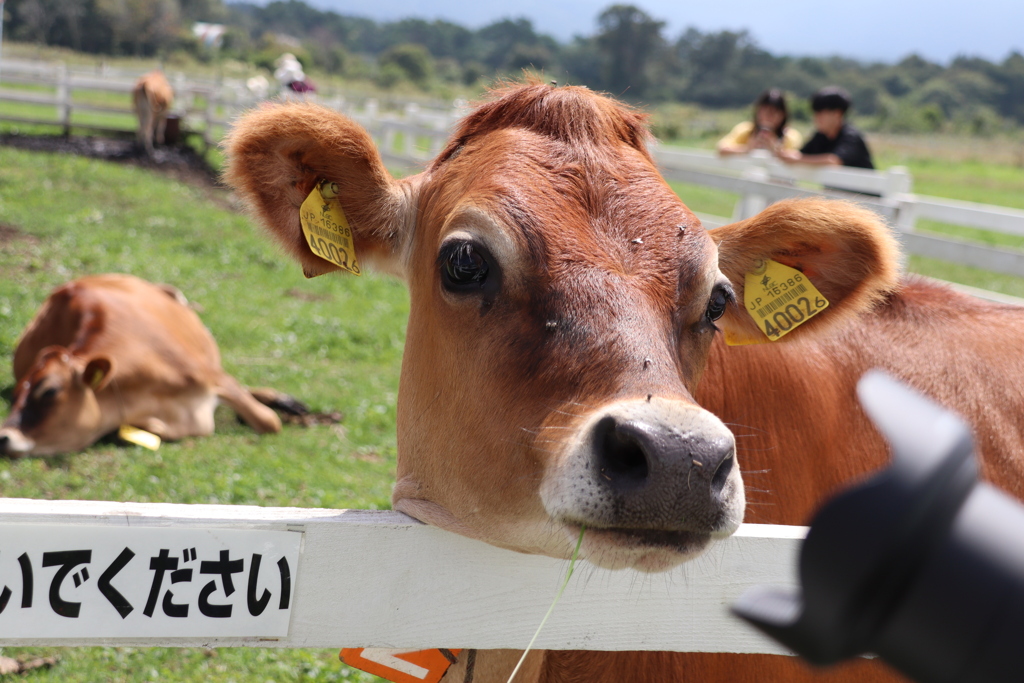 も～、可愛くとってよ。