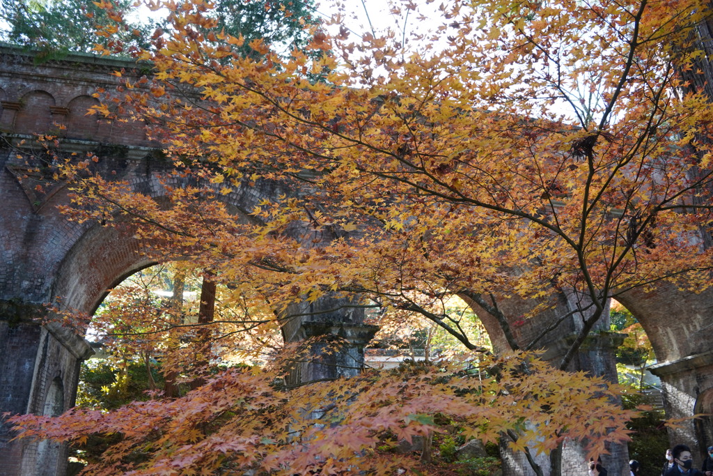 紅葉の水路閣