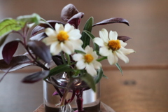 テーブルの清涼剤