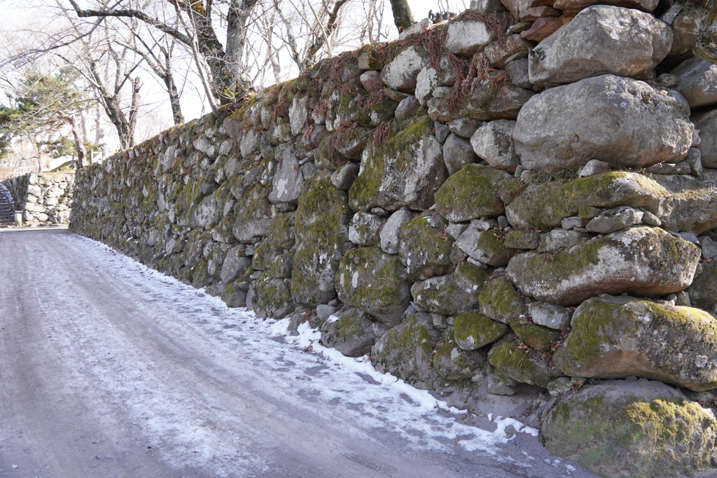 雪道の苔むした石垣