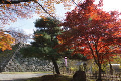 石垣、松。紅葉