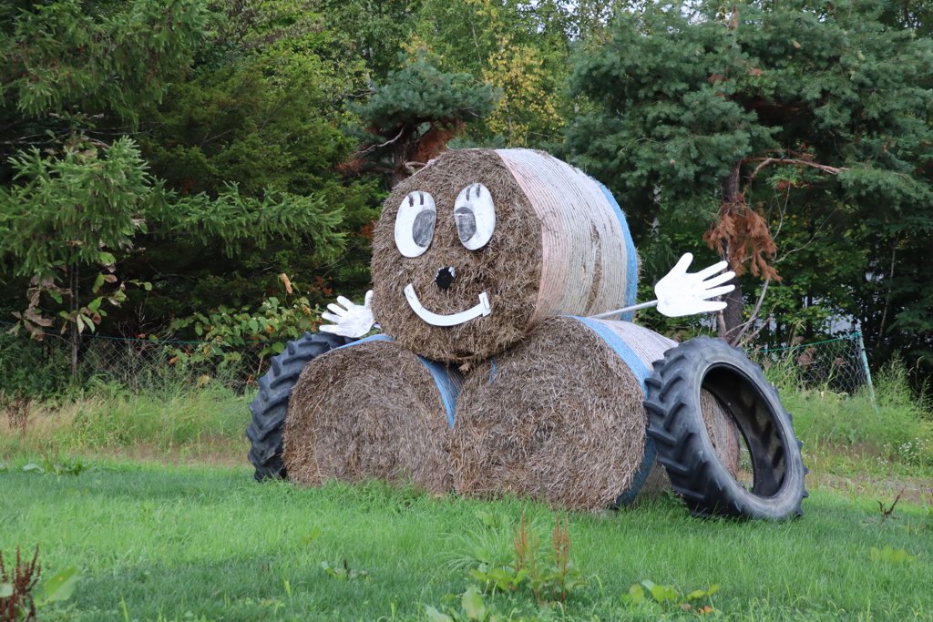 誰もいなくて寂しいな