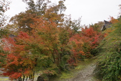寺町の紅葉５