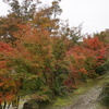 寺町の紅葉５