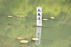 思い出旅行、別府２０１７