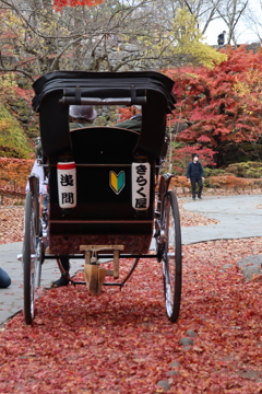 紅葉の車屋さん
