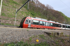 チューリップの見た観光列車