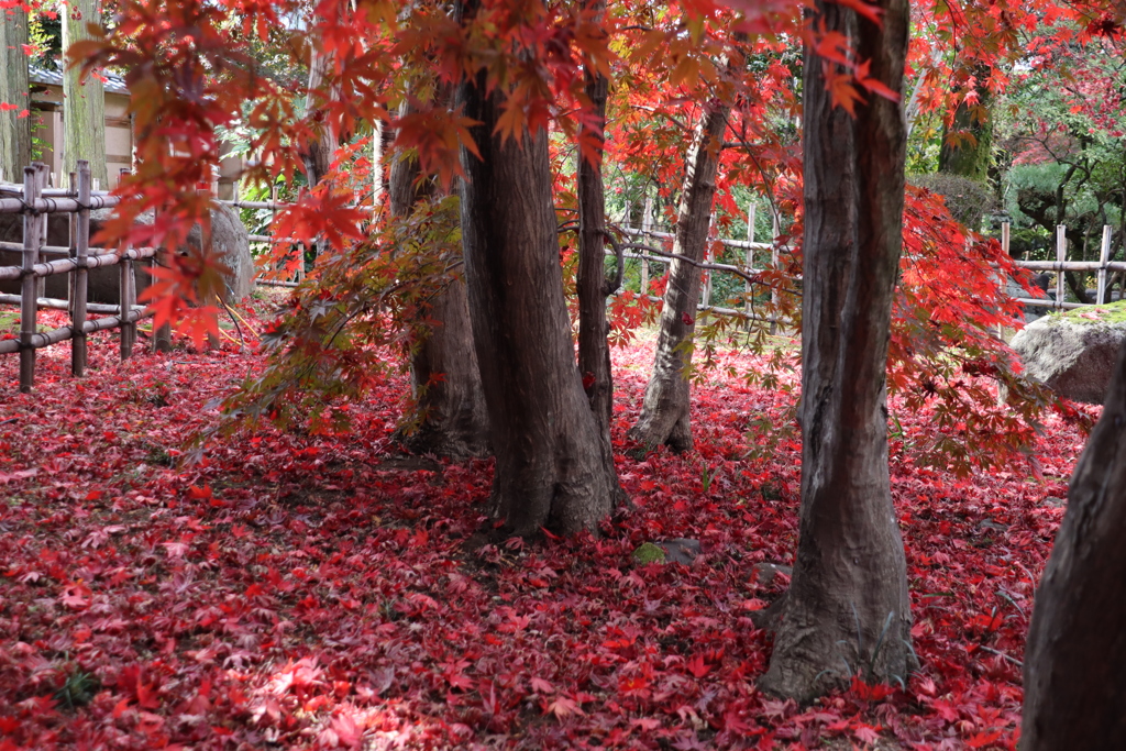 もうすぐ終わるよ