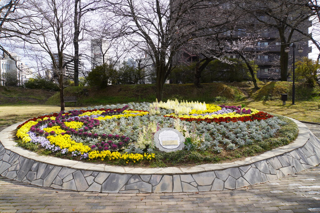 市役所前の公園より