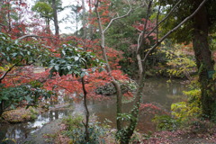 まだまだこれから