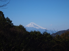 昔ロム鉄の脇から見た富士山
