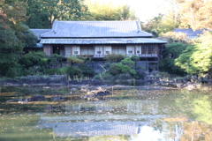 今日は水がある方かな
