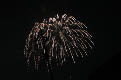 秋花火４