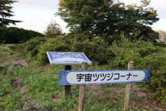 宇宙からお帰り