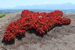 北海道に十勝岳