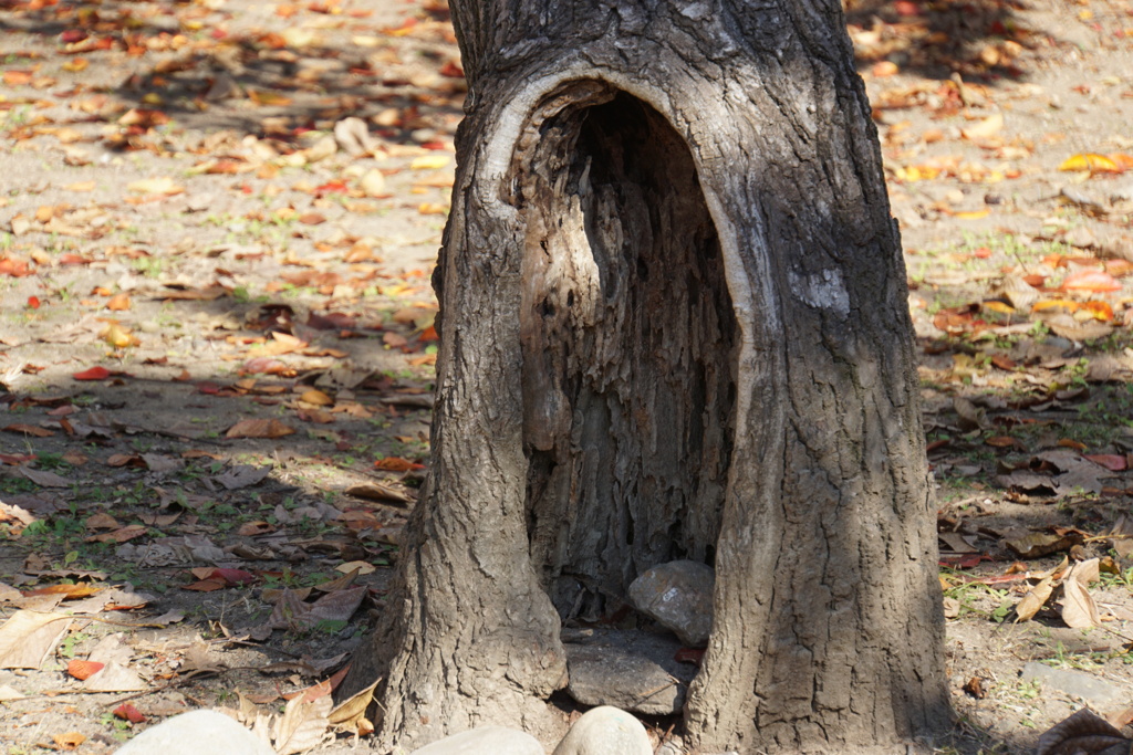 誰のお宅かな？