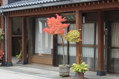 仏壇通りの紅葉