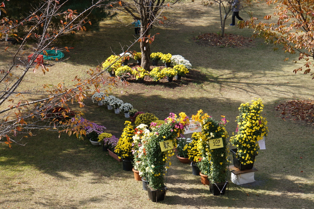 みんな待ってるよ