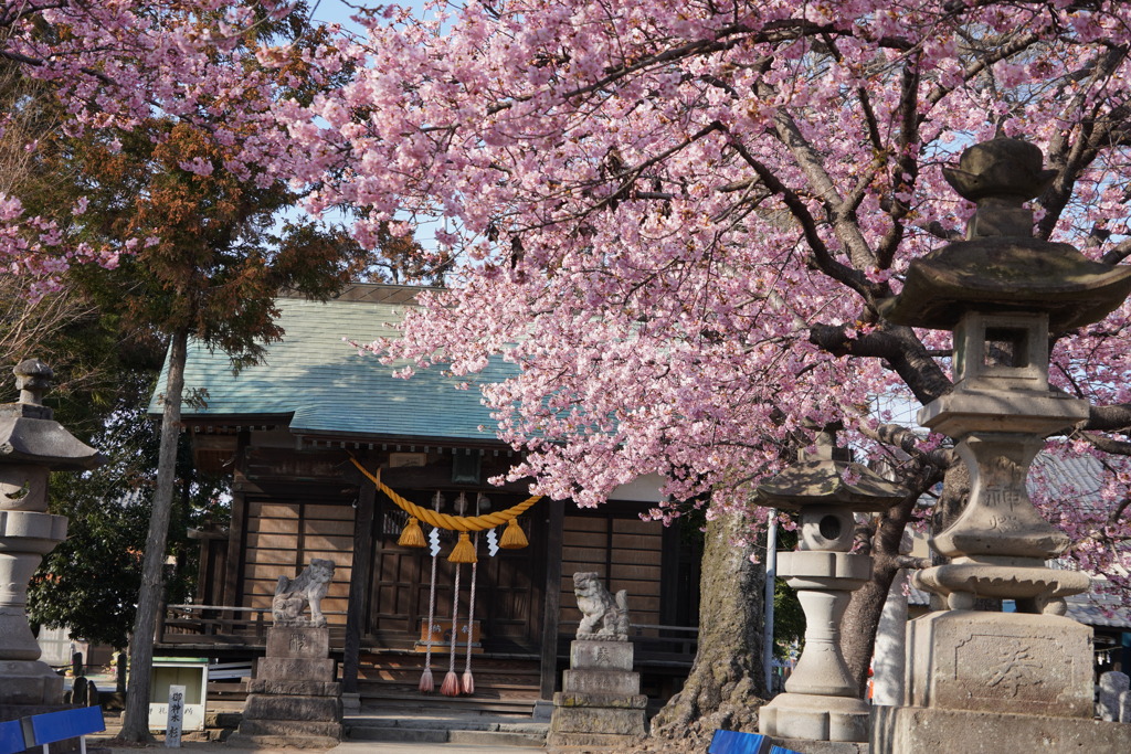 江田神社