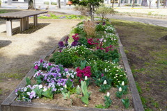 花壇