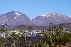 小諸の町と浅間山