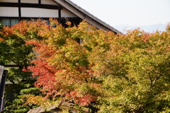 円光寺の紅葉