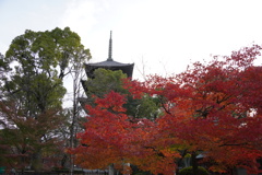 緑と赤と五重塔