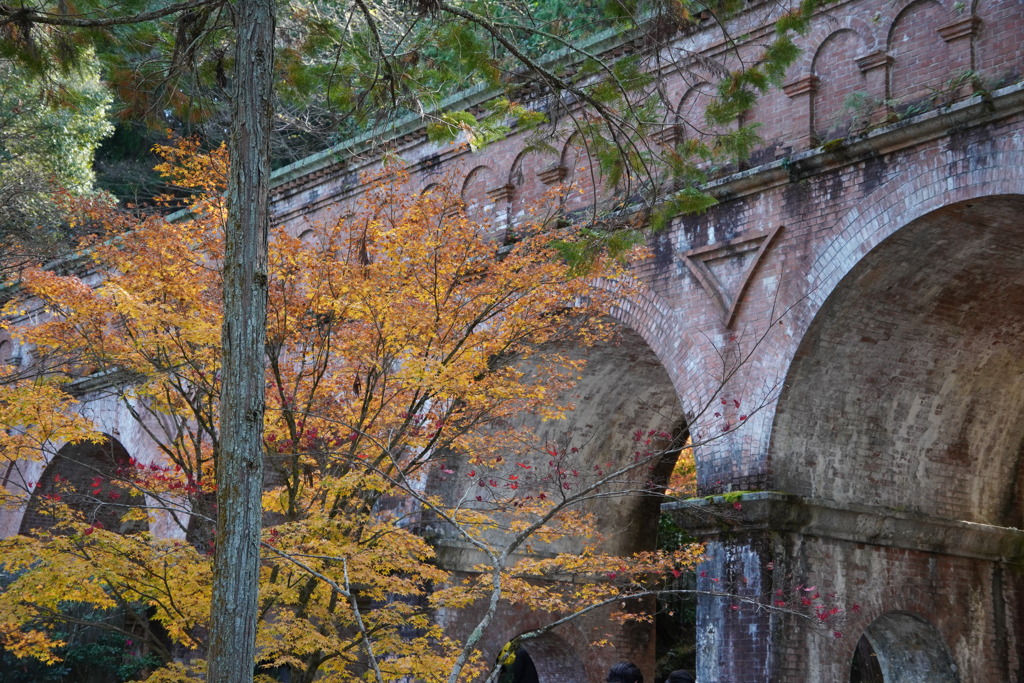 紅葉の水路閣