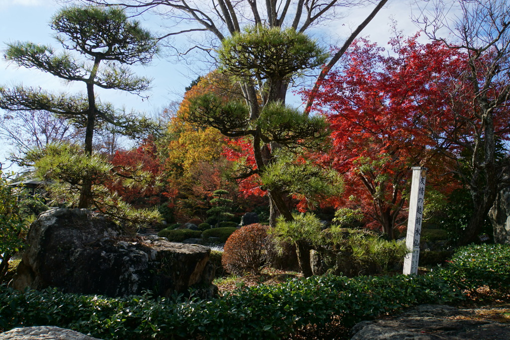 公園紅葉