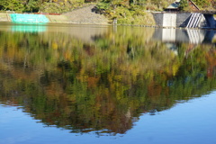 湖面に映る景色