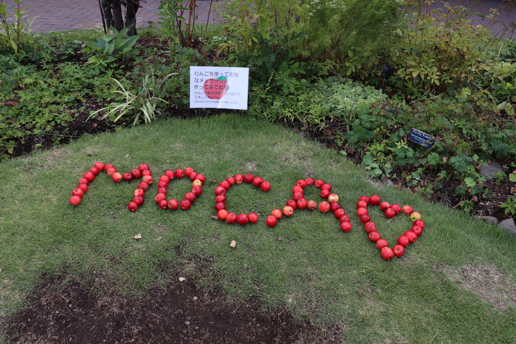 林檎アートがメッセンジャーになった